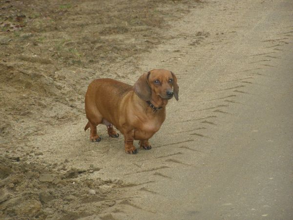 W którą stronę się udać ?