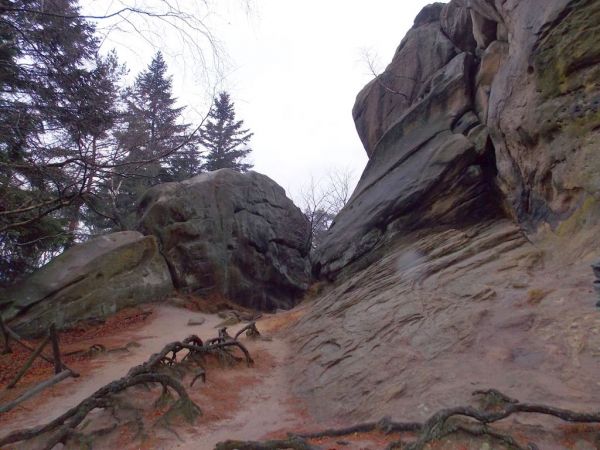 Rezerwat przyrody Prządki