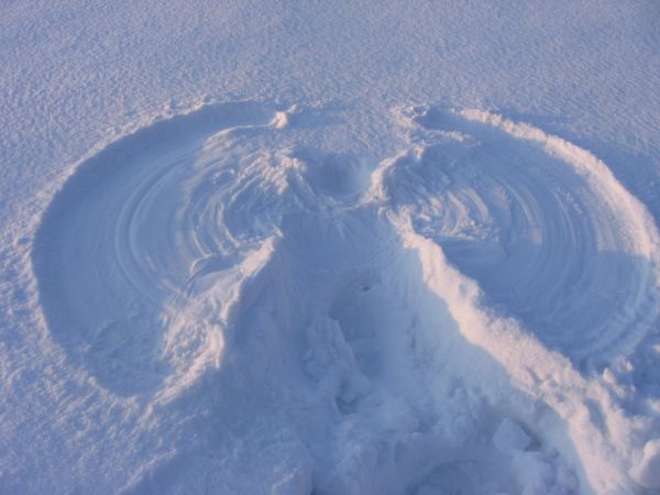 Śnieżny anioł.