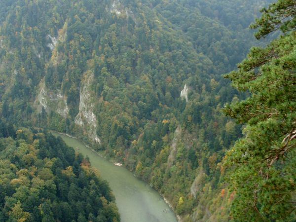 Widok z Orlicy na Dunajec