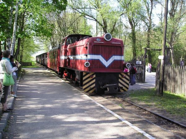 zdjecie Biskupin