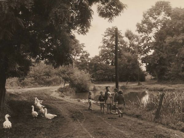 Spacerkiem przy stawach należących kiedyś do Jana Oleksego lata 60.