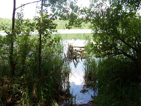 Ustronne miejsce na spacer wzdłuż jeziora