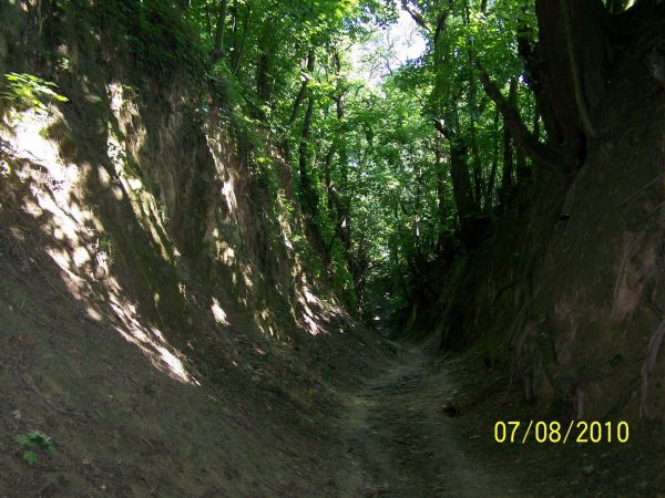 Wąwóz "św. Jadwigi" w Sandomierzu.