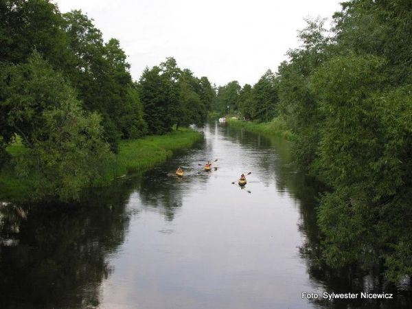 Kozioł – rzeka Pisa