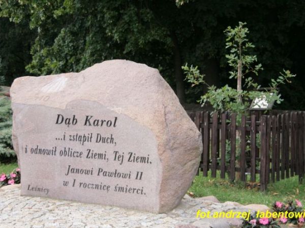 DĄB  KAROL
