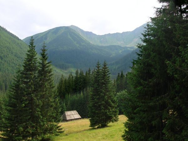 Dolina Chochołowska, Kościelisko