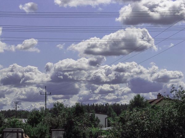 Ogród w centrum miasta