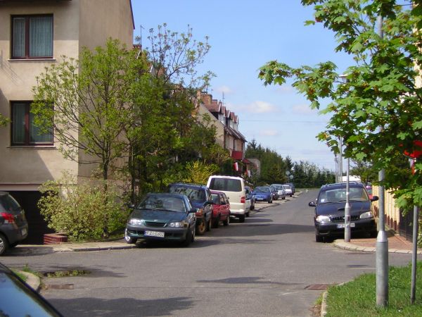 zdjecie Sulechów