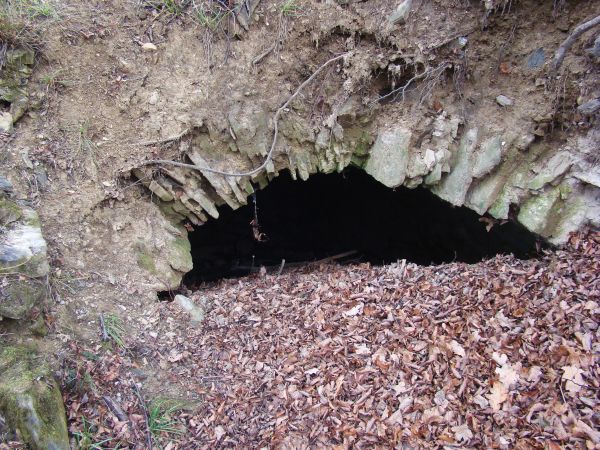 Wzmianka z 1485r. wspomina o napadzie i spaleniu dworu i wieży w Zboiskach, podobno w zamku tym żupnik tyrawski Matiasz miał osadzić zbójów węgierskich - na zdj