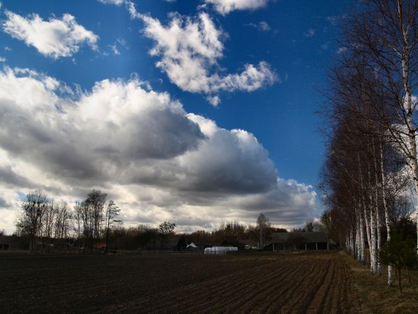 zdjecie Tyniewicze Duże