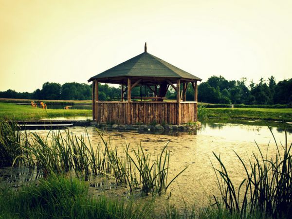 Woda w stawach pochodzi z cieków jak i opadów co sprawia, że jest pierwszej klasy jakości. Daje również możliwość bezpiecznej kąpieli w wydzielonym miejscu. Poł