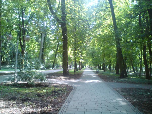Park Zdrojowy