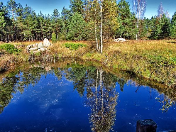 Stawek okolicznościowy "U Krystyny"
