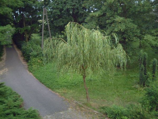 KOLEJNE UJECIE PARKU