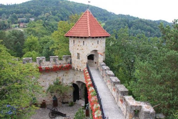 zdjecie Wytrzyszczka