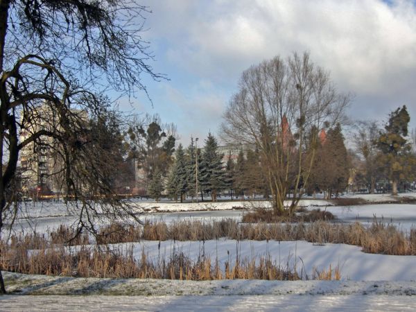 Park Miejski w Ostrowie wlkp. widok od strony ul.  Ks.Jana Kompałły.