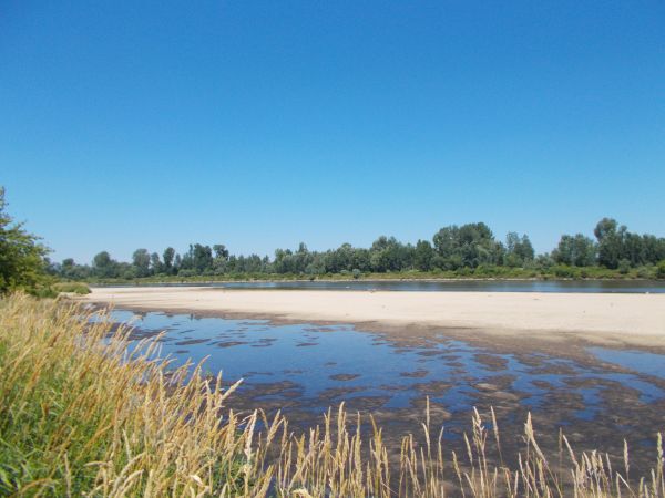 Tak widzimy brzeg Wisły w Brzostkowie  patrząc ze Strojcowa .W tym miejscu koryto królowej polskich rzek jest bliżej północnego brzegu czyli woj.świętokrzyskieg