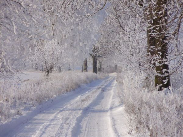 zdjecie Krzyżanowice