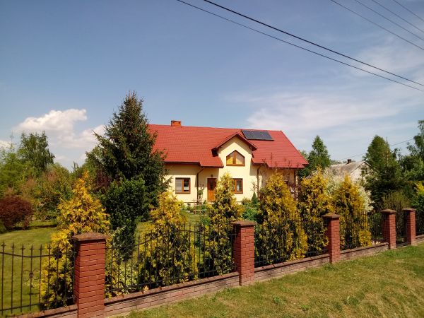 Część willowa Pawłowa . 200 m od Brzostkowa.