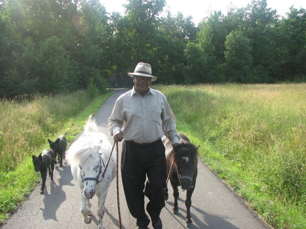 Jeden z licznych turystów odwiedzających Wolimierz