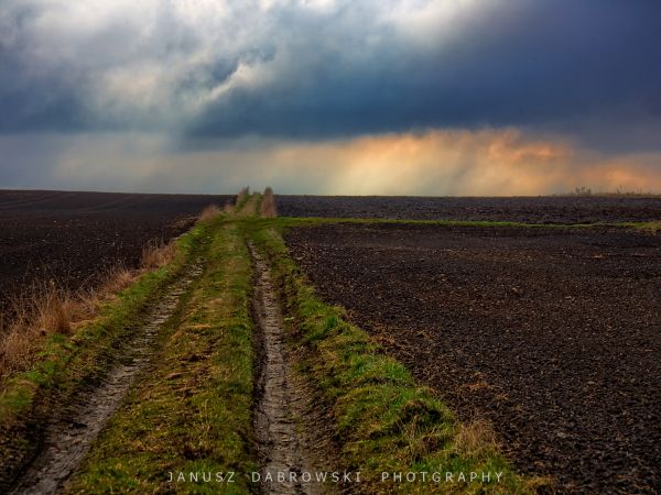 zdjecie Siemianowice Śląskie