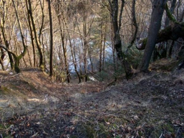 obok drogi wśród skalistych progów i głazów w głębokim korycie potok Solinka rwącym nurtem płynie - ktoś wozem wracał, wilki na drodze,  spłoszone konie z wozem