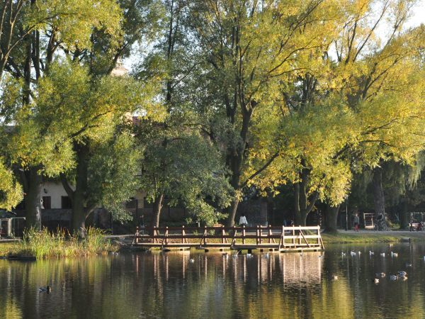 Wolsztyn, nad jeziorem Wolsztyńskim, nowa promenada, która została oddana do użytkowania  na wiosnę jest ulubionym miejscem spacerów mieszkańców Wolsztyna i tur