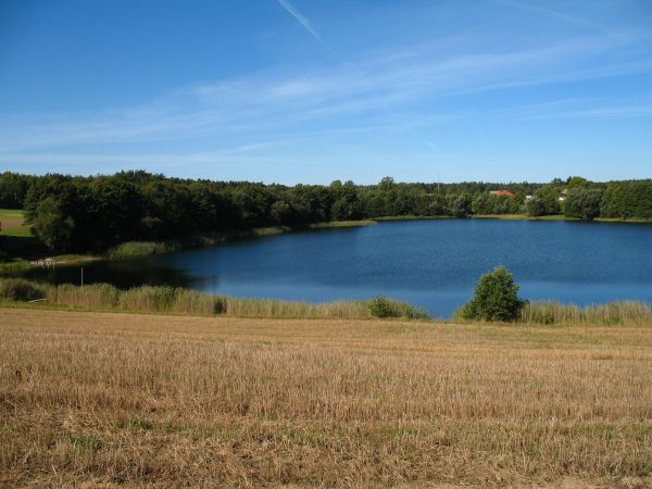 Jezioro Trzebcińskie