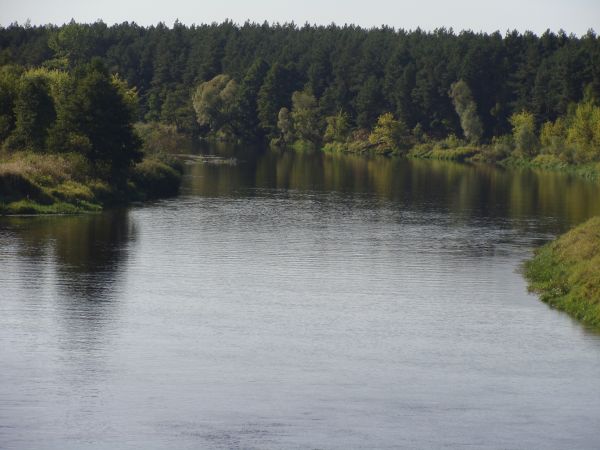 Rzeka Narew, Nowogród