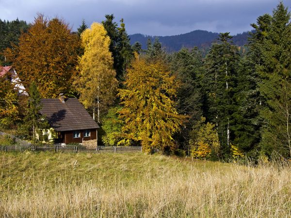 Sucha Dolina , Piwniczna-Zdrój