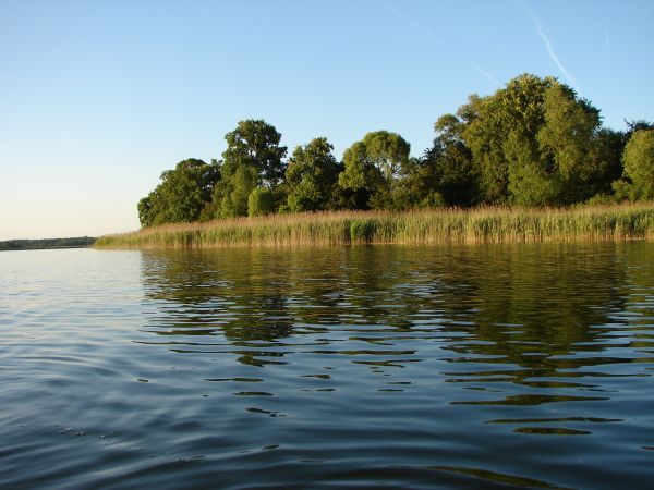 "Jezioro Stępuchowskie ma powierzchnię 113 ha. Jest głębokie 8,9 m. "