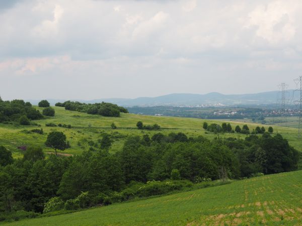 ze zbocza g. Winiarskiej - 528m npm, tam hen Krosno - stare miasto nad Wisłokiem pełne wspomnień o rodzinach Pełków i Skotnickich, a jeszcze wyżej Zamek Odrzyko