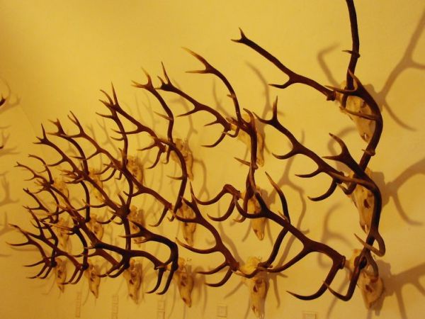 Eksponaty do oglądania w muzeum