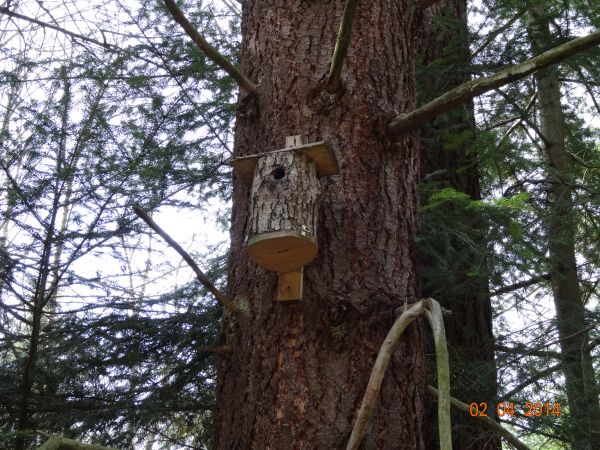 należy wspomnieć, że jesteśmy "na poligonie" Technikum Leśnego z Leska i pewnie wachlarz pobieranych tam nauk i takie zagadnienie przewiduje.  Ponadto możemy zd