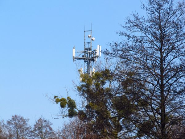 Wieża antenowa przy Steico