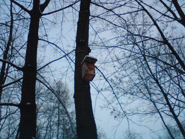 zdjecie Czeladź