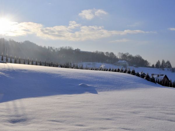 Wielogłowy pod puchową pierzyną