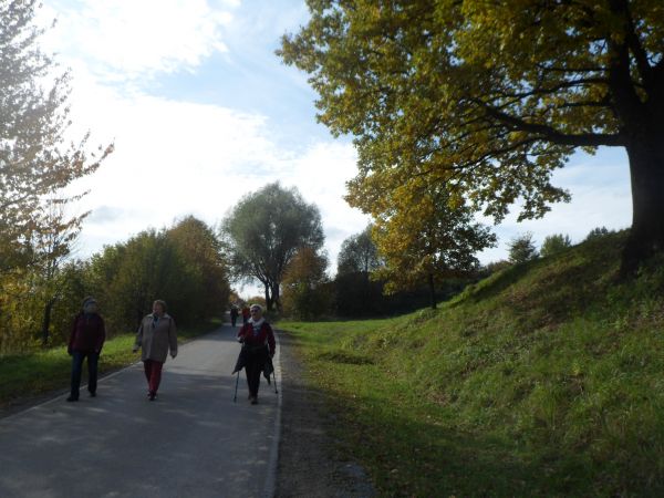 wędrówka pełna swawoli - tam też auta jeżdżą ale wyjątkowo rzadko - spalin "tam nie znają" - toteż pełną piersią się oddycha...