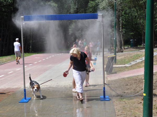 zdjecie Wodzisław Śląski