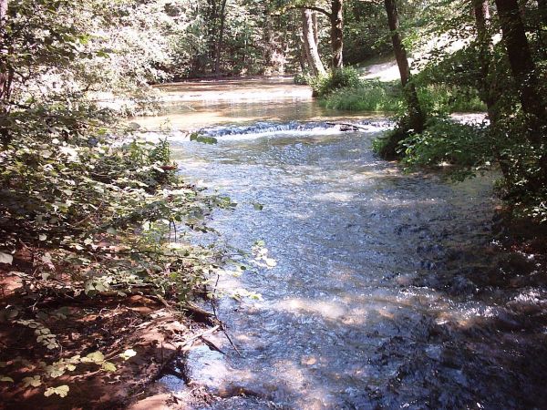 "Nad Tanwią" – rezerwat leśny, przy wsi Rebizanty. Atrakcją są 24 progi skalne na rzece Tanwi, zwane potocznie "szumami" lub "szypotami". Powstały one na skutek