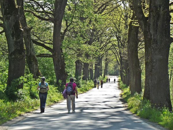 aleja drogowa na trasie przejścia : Jabłonica Ruska - Hroszówka, obie wsie nie są zamieszkałe - tu były po wojnie wysiedlenia, może będą podjęte starania pod ką