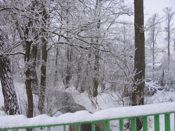 Budkowiczanka w bieli