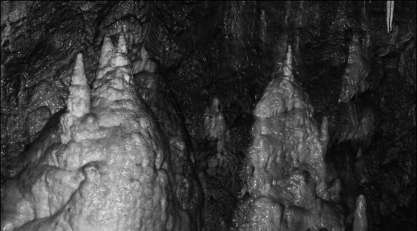 Jaskinia Niedżwiedzia (10)