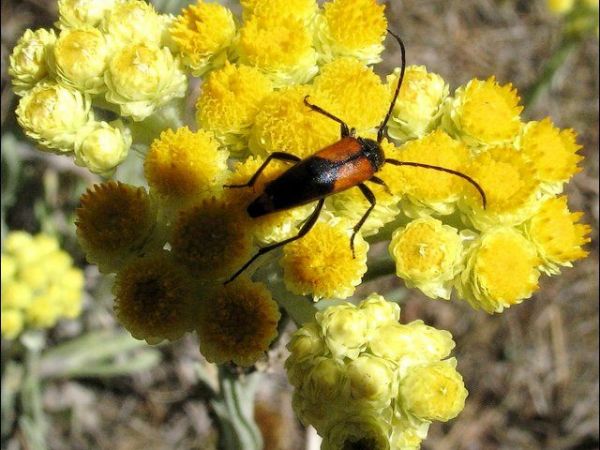 Malownicza przyroda.