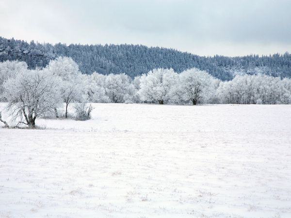 Zima w Pasterce w górach Stołowych. Malutka, malownicza wioska u samego podnóża Szczelińca Wielkiego jest unikalną już oazą ciszy i spokoju zadziwiając przy tym