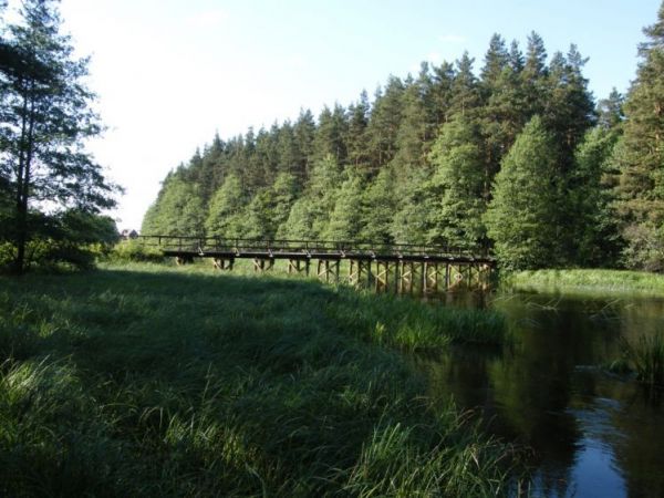 Drewniany most łączący Sarnetki ze Studzianym Lasem