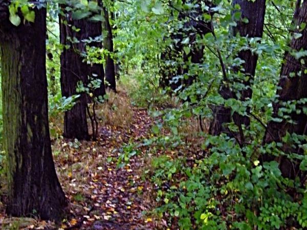 to co jeszcze można zobaczyć w dawnym zakładzie rolnym