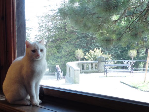 zdjecie Świeradów-Zdrój