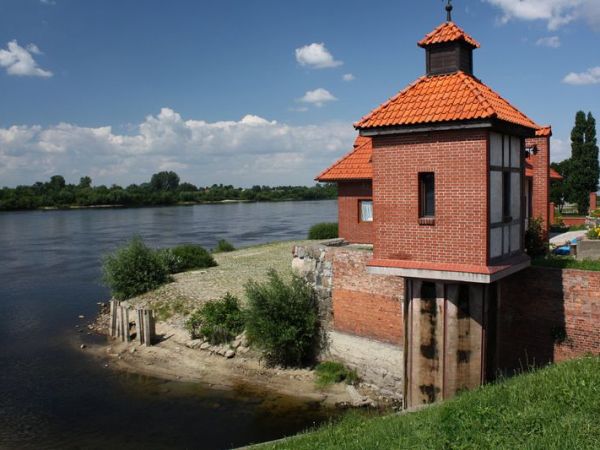 Ujście Trynki do Wisły